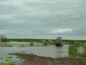 Lake Manyara National Park