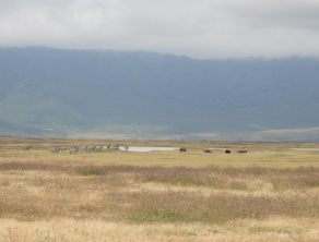 Ngorongoro Crater
