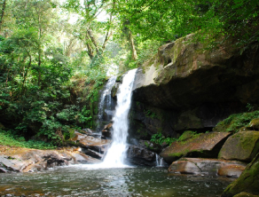 Udzungwa National Park